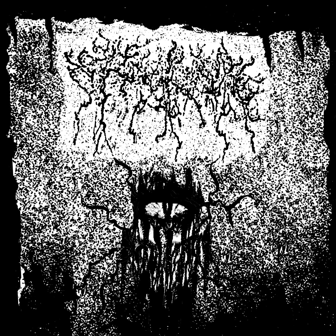 Raw Black MetalNoise (D5) .