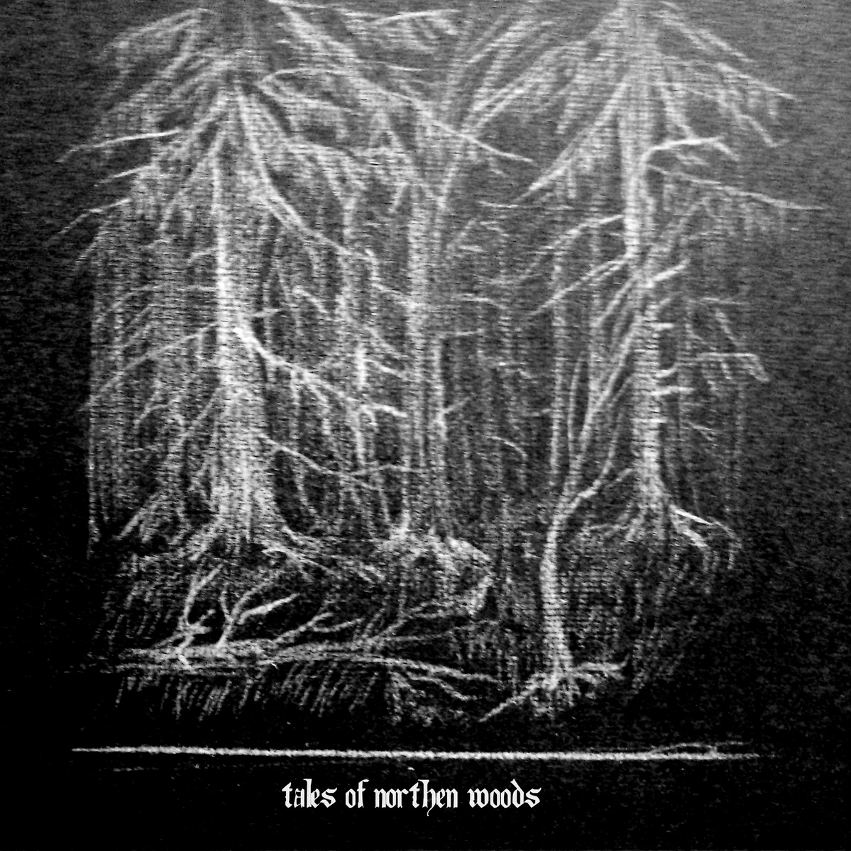 The cure forest. The Cure a Forest. Ambient Black Metal. Forest Raw Black Metal. Ambient Black Metal птицы.