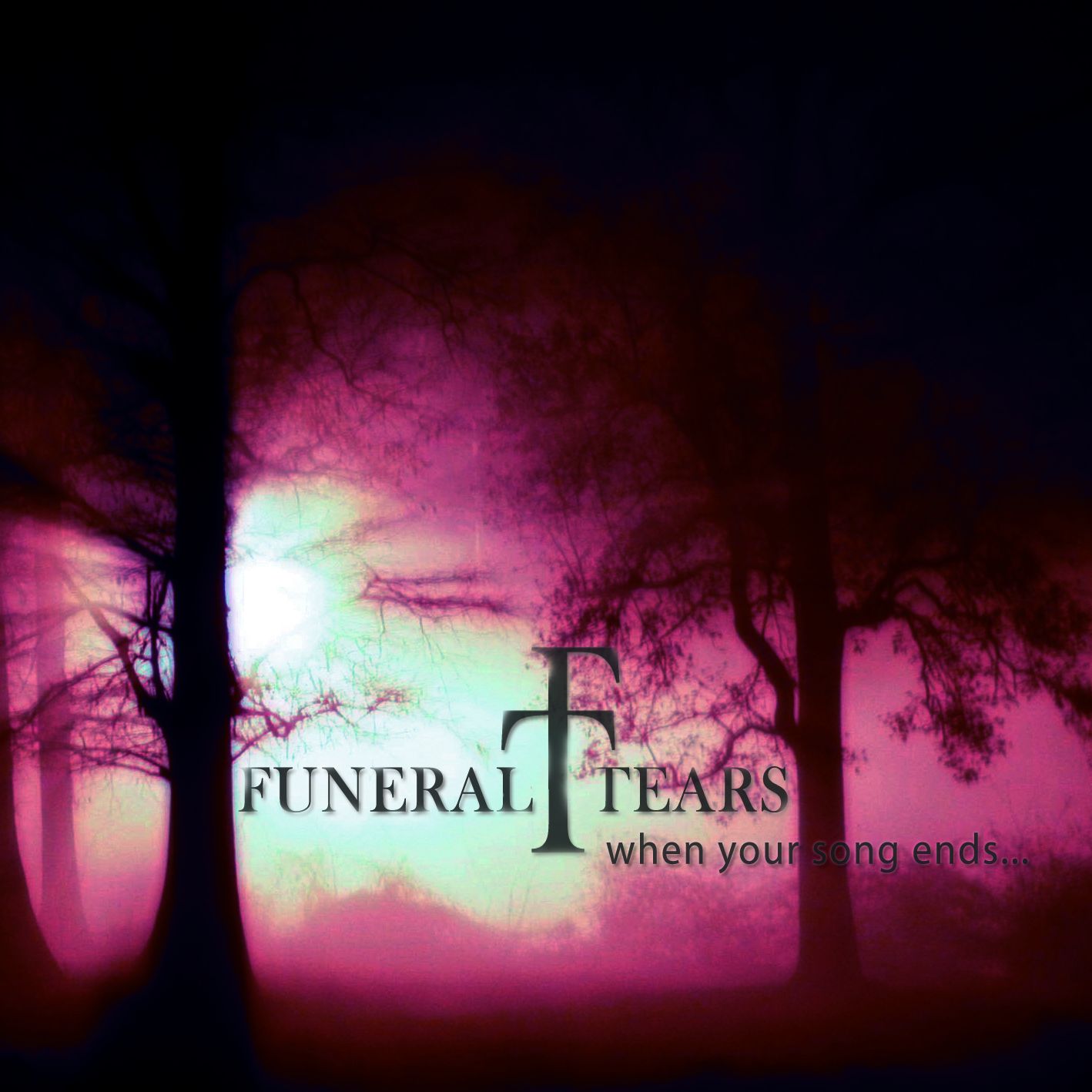 Ending песня. Funeral tears. Funeral tears группа. Funeral tears 2010 - your Life my Death. The Funeral Song.