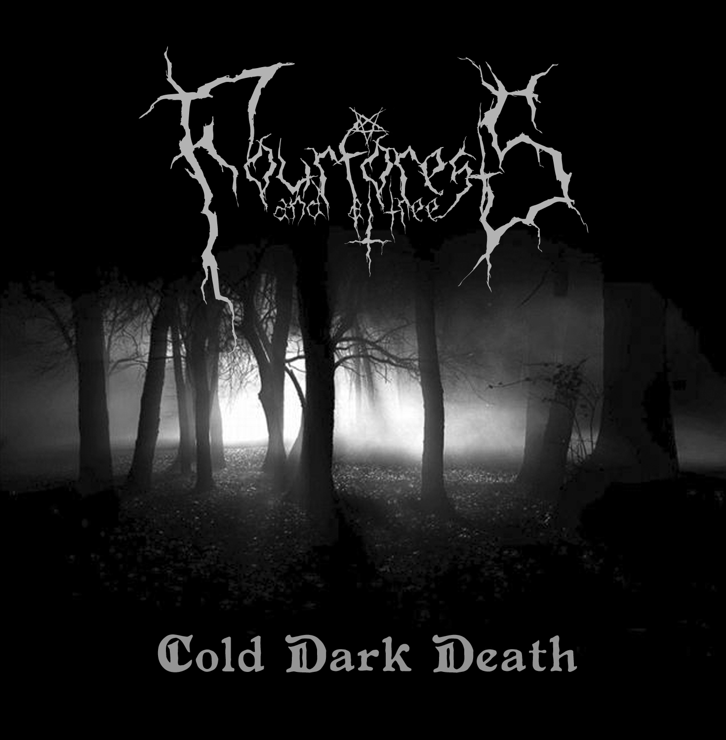 Cold and dark. Cold Dark. Black Metal Forest Cold. Cold Dark place. Cold Dark place обложка.