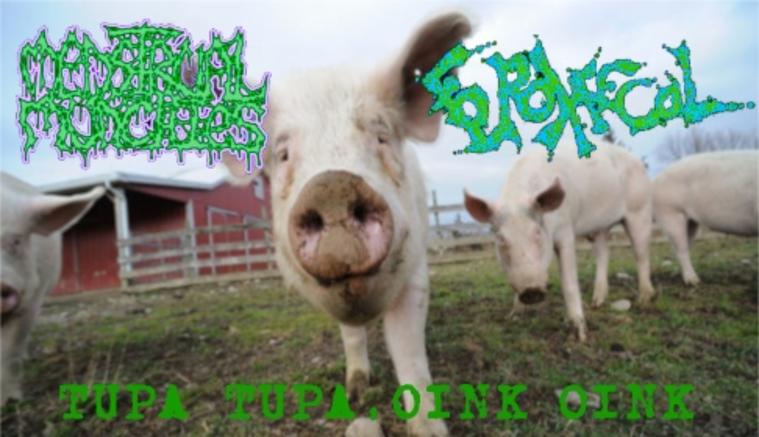 Metal Area - Extreme Music Portal > Menstrual Munchies & Feroxfecal - Tupa  Tupa, Oink Oink [split] (2019)