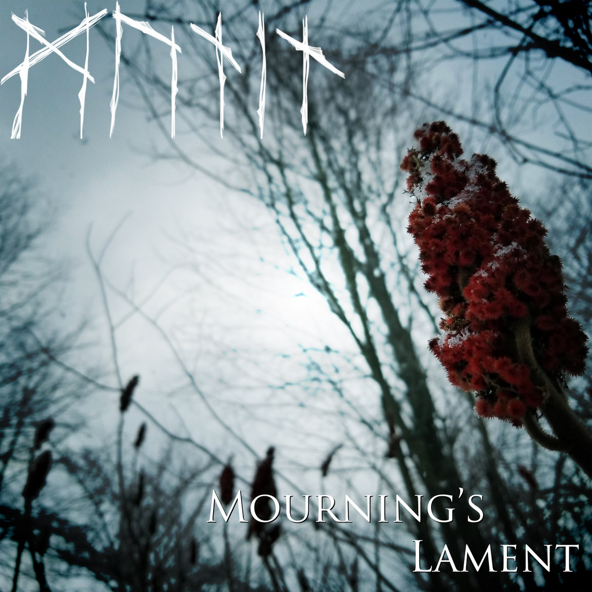 Mourning wood. Lamentation Black Metal. Mourning Ruby. Lament — 2019 - Lacrimae (Ep). Winters Mourning Acoustic Folk Black Metal album Cover.